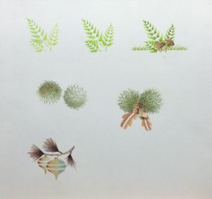 'Technical' Page showing various techniques.