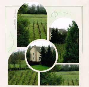 Nivelle day 1 - Simple Embossing straight on the page