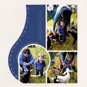 Cam at the petting zoo, Mudgeeraba Show.  Embossed pattern used vertically, with part of it used as a decorative stencil on the curve.